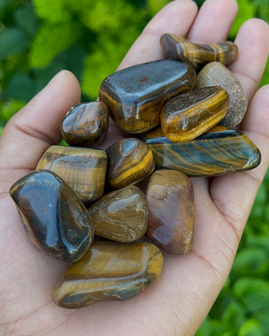 Tiger’s Eye Tumbles